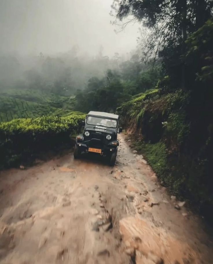 Kolukkumalai Jeep Safari
